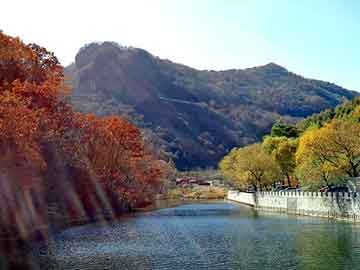 新澳门正版免费大全，家电面板